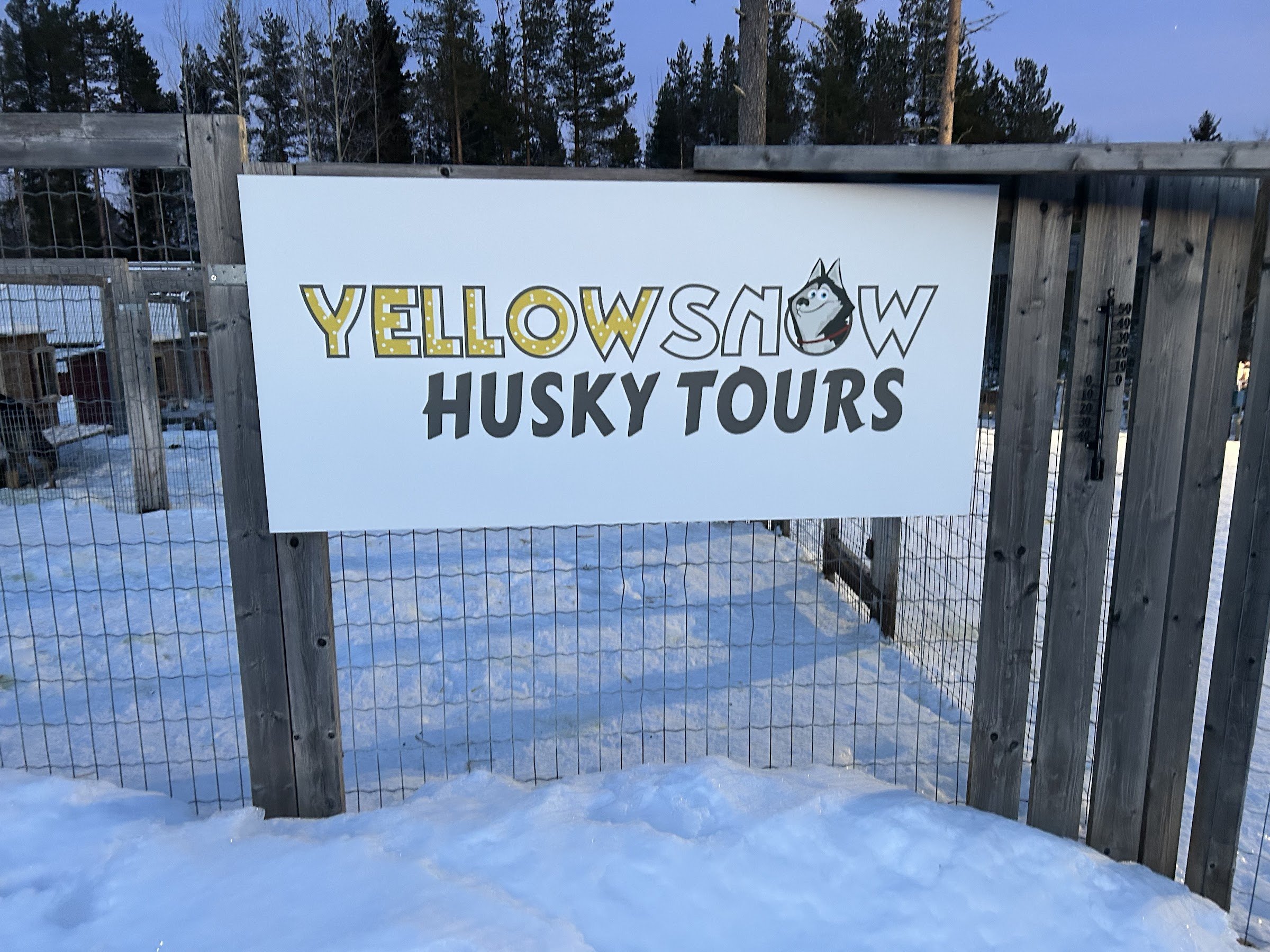 Yellow Snow Husky Tours